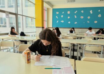 Ilustrační obrázek. Zdroj: Pexels