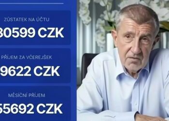 Jedním z nejčastějších terčů podvodných reklam je český premiér Andrej Babiš.